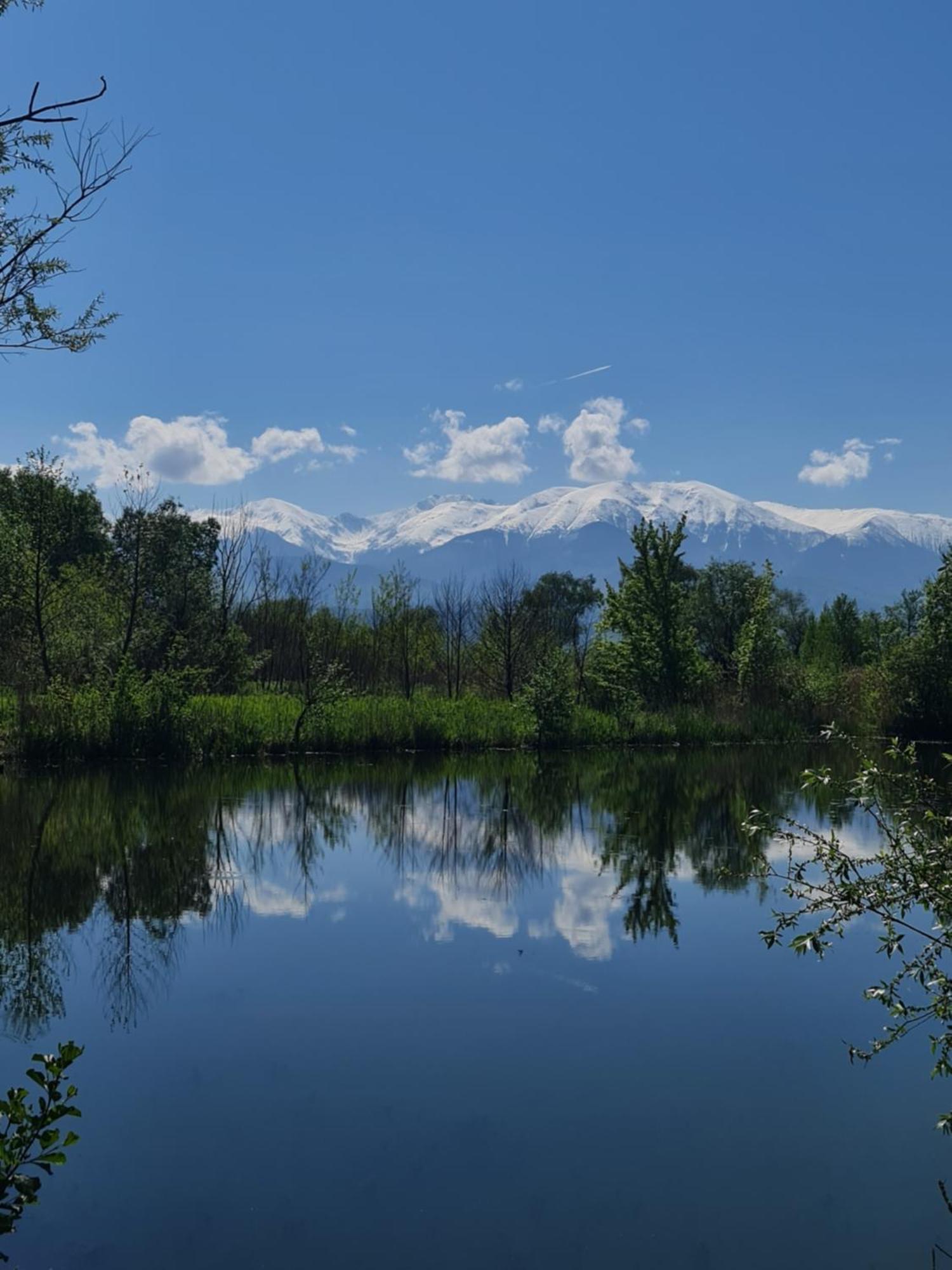 Casute In Mijlocul Naturii - Wild Camp Felek Kültér fotó